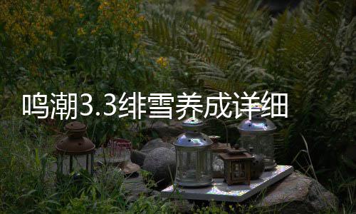 鸣潮略雪养细攻成详3绯